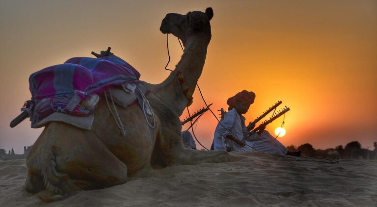 rajasthan, camel, safari-3132408.jpg